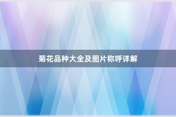 菊花品种大全及图片称呼详解