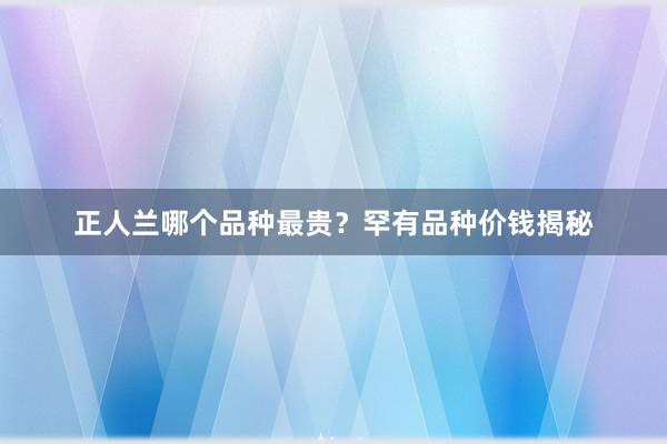正人兰哪个品种最贵？罕有品种价钱揭秘